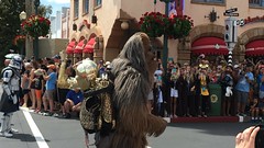 IMG_7676