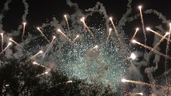 IMG_7849