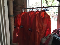 IMG_7726
