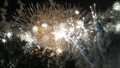 IMG_7851
