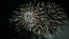 IMG_7826