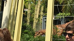 IMG_8053