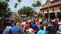 IMG_7718
