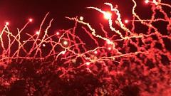 IMG_7823