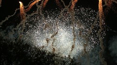 IMG_7845