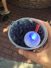 IMG_7800