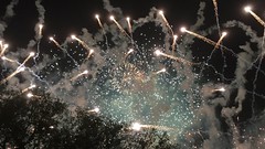 IMG_7850