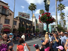 IMG_7650