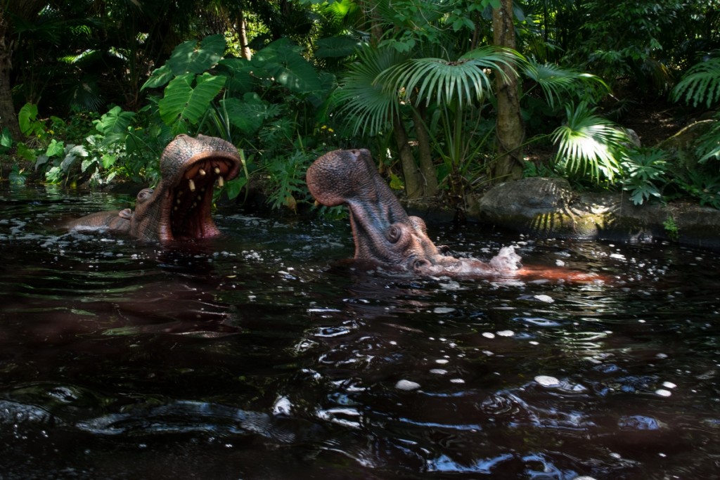 Hungry hungry hippos