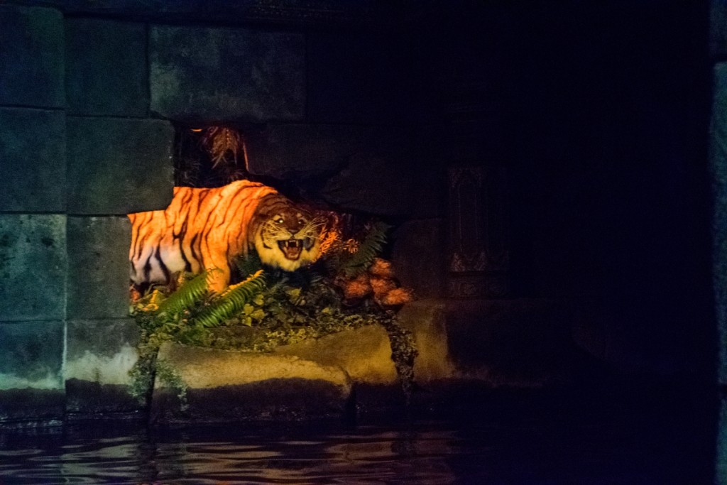 Tiger has some more natural light on him
