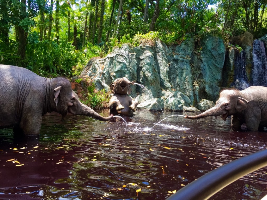 I never realized how much animation the animatronics have, it really looks great and very real in person