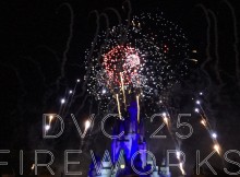 thumb_IMG_5003_1024